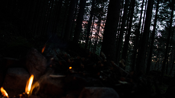 eld i skogen